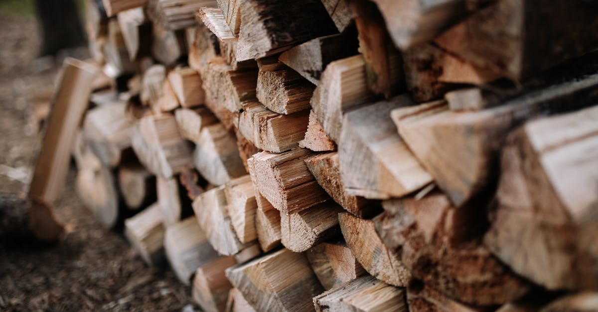 découvrez les principes et les avantages de la gestion forestière durable, une approche respectueuse de l'environnement permettant de préserver les ressources forestières tout en soutenant le développement économique et social.