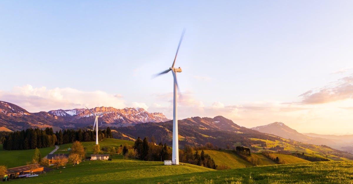 découvrez les principes et les meilleures pratiques pour adopter la durabilité dans votre quotidien, réduire votre impact environnemental et promouvoir un mode de vie éco-responsable.