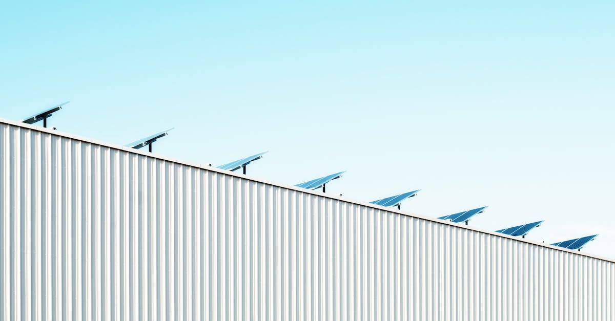 découvrez comment adopter des pratiques durables pour protéger l’environnement, optimiser vos ressources et bâtir un avenir responsable. informations, conseils et stratégies sur la sustainability.