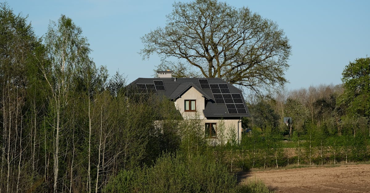 découvrez comment les entreprises durables transforment l'économie et protègent notre planète grâce à des pratiques éthiques, des innovations écologiques et une responsabilité sociale accrue. plongez dans l'univers des sociétés qui allient profit et respect de l'environnement.