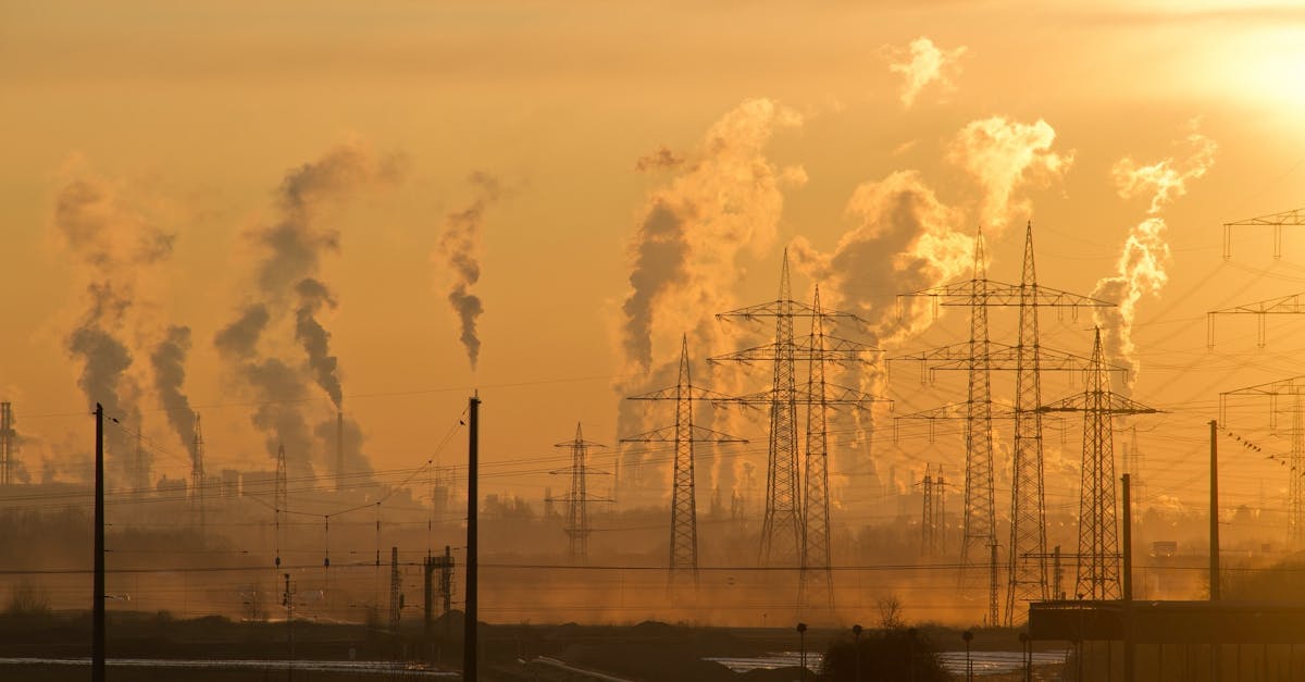 découvrez l'impact environnemental de nos actions quotidiennes et comment elles affectent notre planète. apprenez des solutions durables pour réduire notre empreinte écologique et préserver notre environnement pour les générations futures.