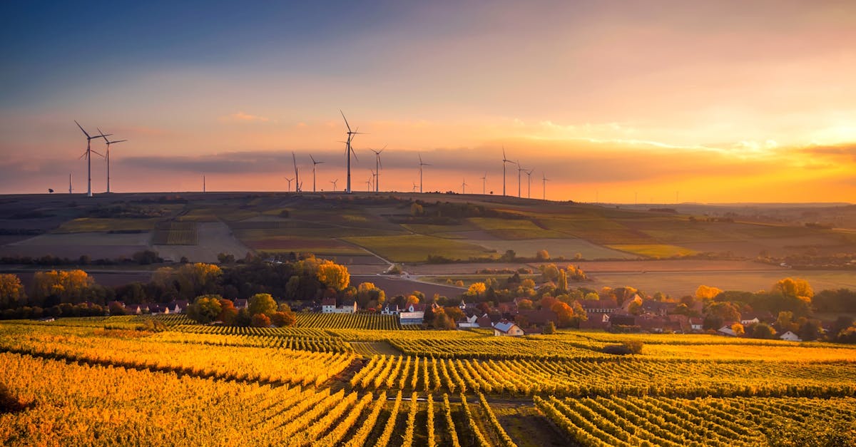 découvrez des solutions et conseils pour adopter un mode de vie durable, réduire votre impact environnemental et contribuer à un avenir plus responsable.