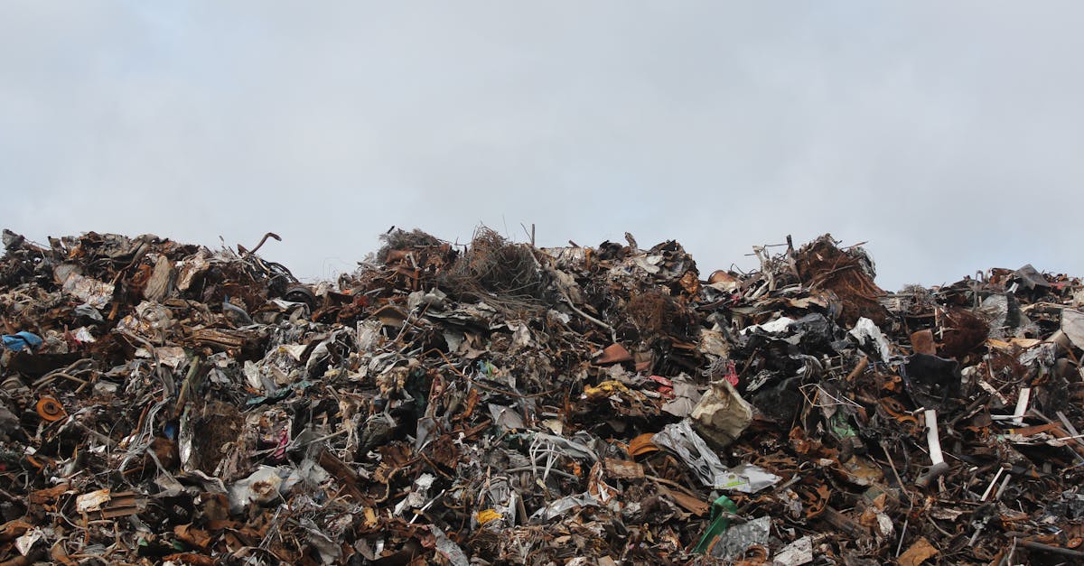 découvrez l'importance du recyclage pour préserver notre planète. apprenez comment des gestes simples peuvent contribuer à réduire les déchets, économiser les ressources et favoriser un avenir durable.