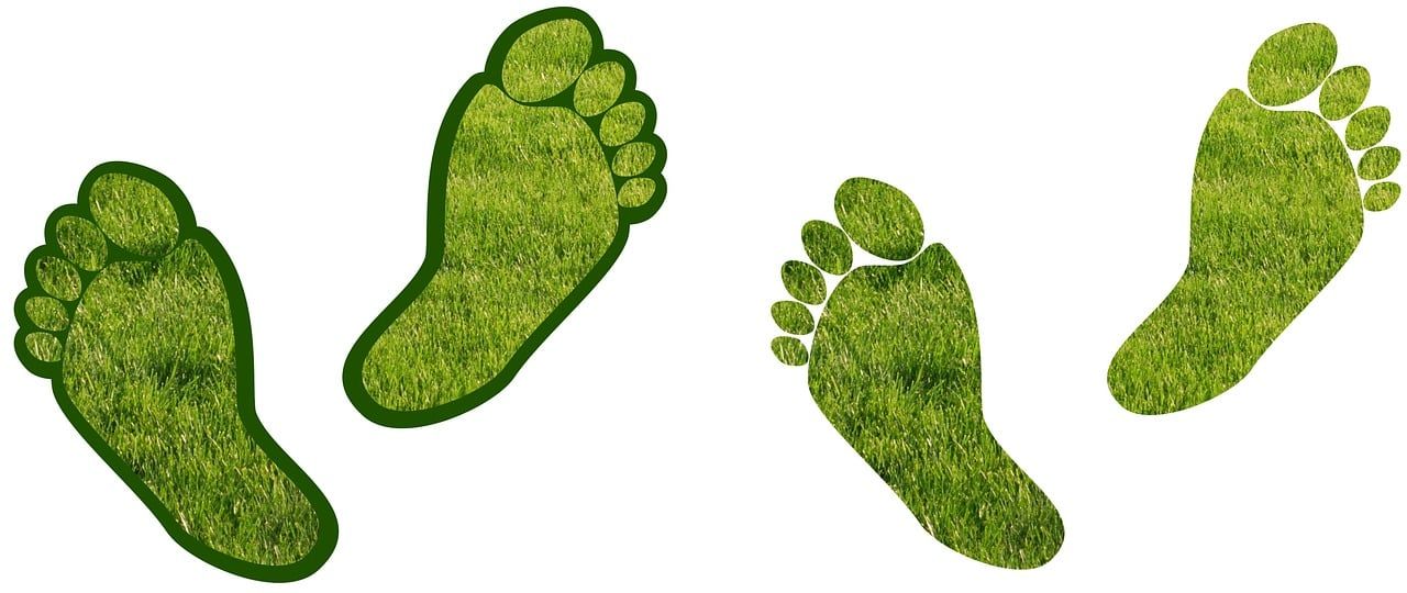découvrez carbon hub, votre plateforme incontournable pour comprendre et réduire votre empreinte carbone. explorez nos solutions innovantes pour un avenir durable et engagez-vous dans la lutte contre le changement climatique.