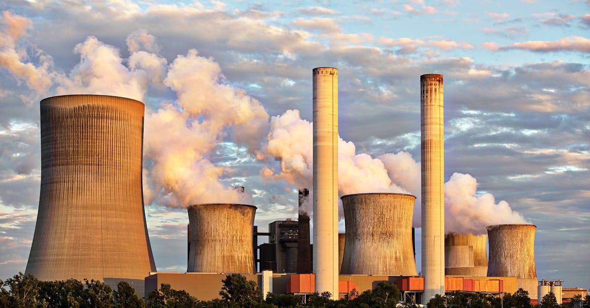 découvrez les dernières actualités, conseils et ressources sur l’environnement pour protéger la planète, réduire votre impact écologique et adopter un mode de vie durable.