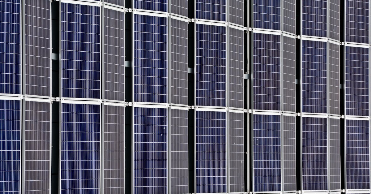 découvrez les principes de la sustainability : stratégies, enjeux écologiques, innovations et conseils pratiques pour adopter un mode de vie durable et respectueux de l'environnement.