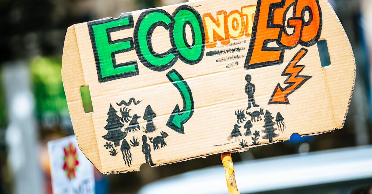 découvrez comment le changement climatique impacte notre planète, les actions à entreprendre pour le préserver et les solutions durables pour un avenir meilleur.