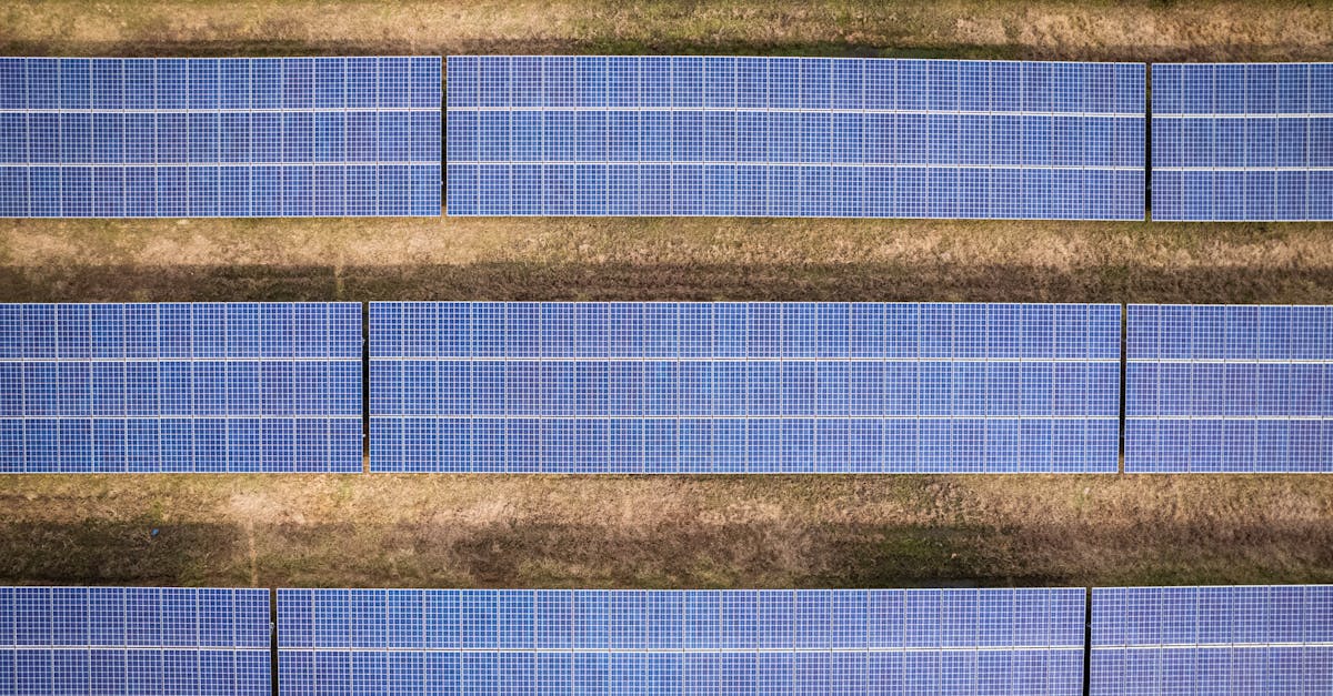 découvrez les principes du développement durable, un enjeu essentiel pour préserver notre planète et garantir un avenir équitable et viable pour les générations à venir. explorez les stratégies innovantes et les initiatives qui favorisent une croissance économique respectueuse de l'environnement.