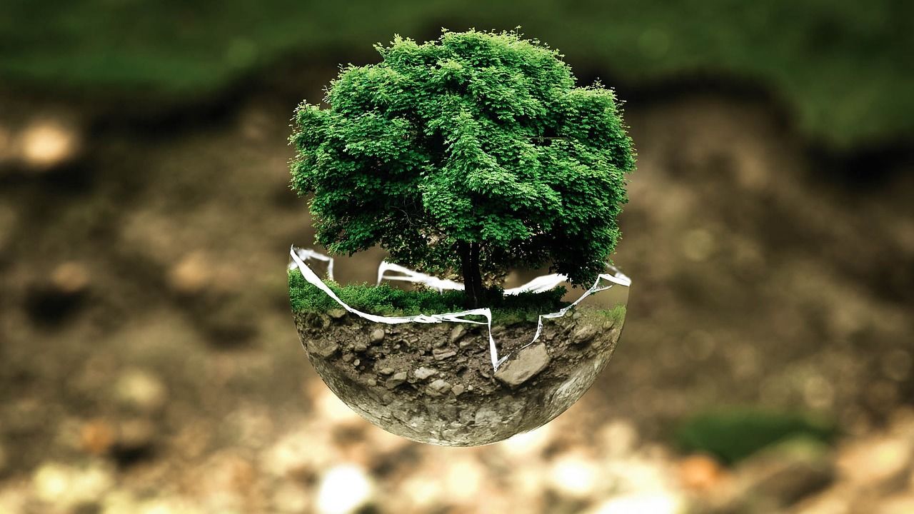 découvrez des solutions innovantes pour un affichage écologique, alliant esthétisme et respect de l'environnement. informez et inspirez avec des affichages durables, adaptés à vos besoins et sensibilisant à la protection de la planète.