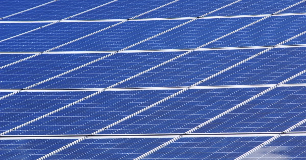 découvrez comment adopter des pratiques durables pour préserver l’environnement et améliorer votre quotidien. apprenez-en plus sur la durabilité, les solutions écologiques et les gestes simples pour un avenir plus vert.