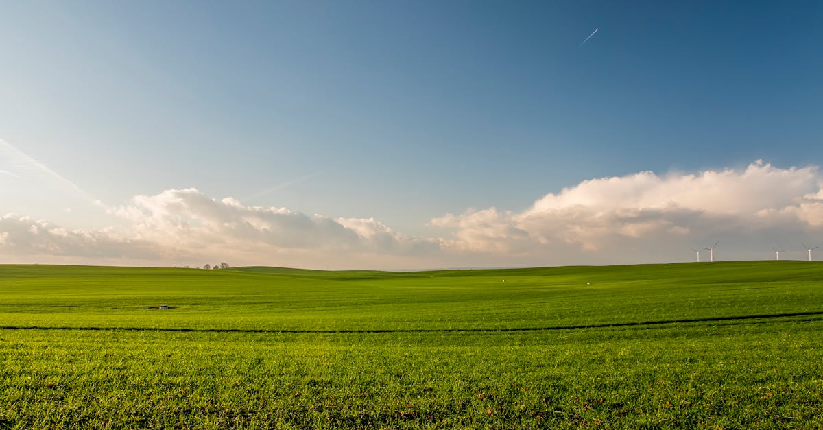 découvrez les solutions d'énergie propre qui transforment notre avenir. explorez des technologies durables et des alternatives écologiques pour un monde plus vert.