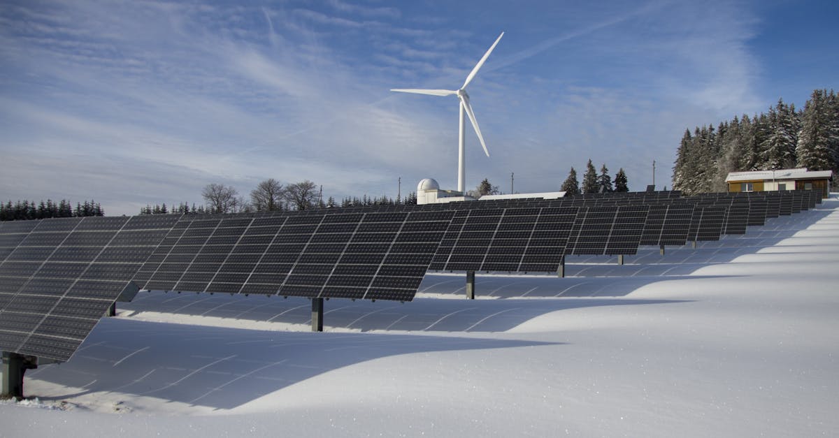 découvrez comment adopter un mode de vie durable grâce à nos conseils, astuces et initiatives éco-responsables pour préserver l'environnement et construire un avenir meilleur.