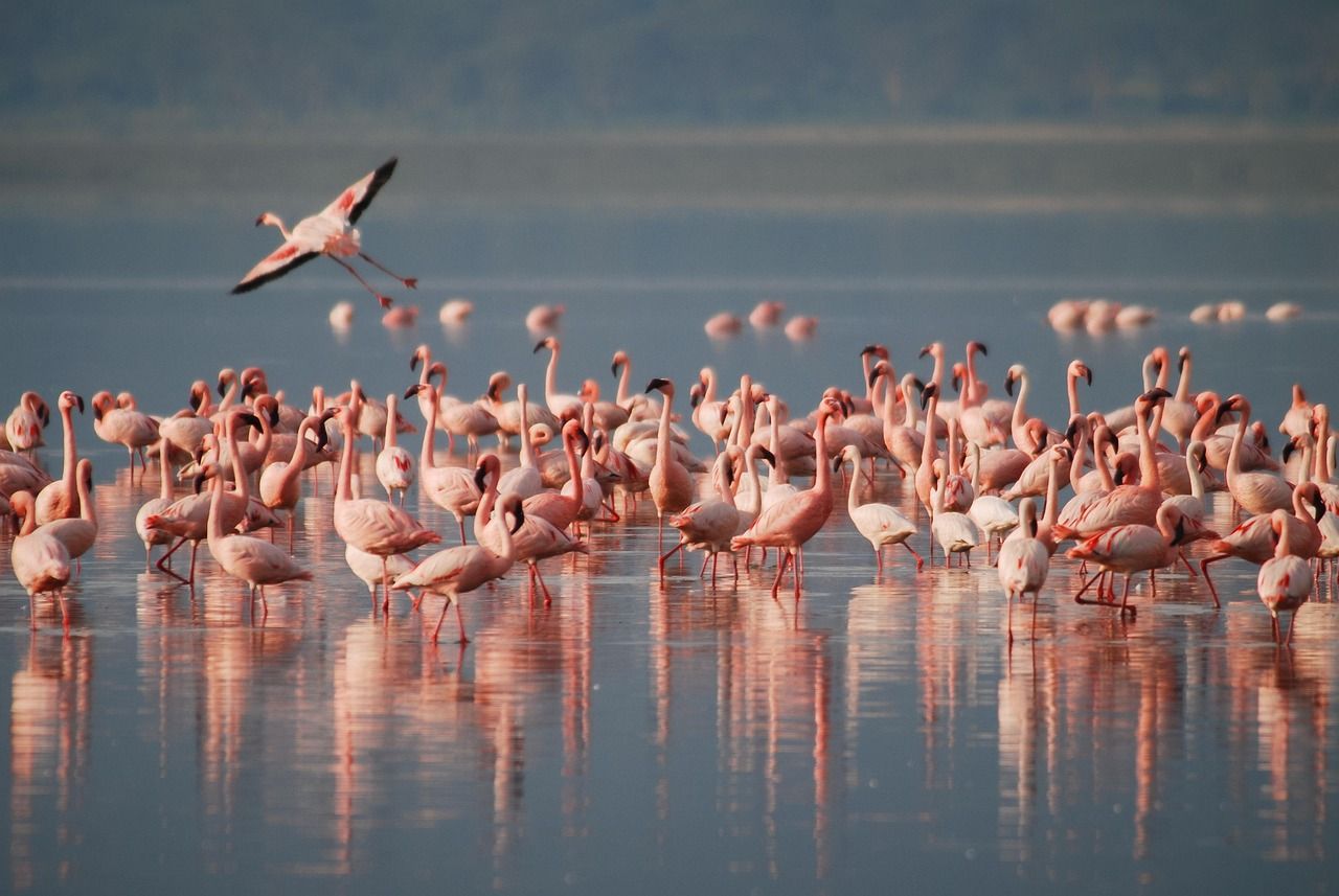 découvrez des conseils pratiques et efficaces pour la conservation de l'eau, préserver cette ressource précieuse et contribuer à un avenir durable.