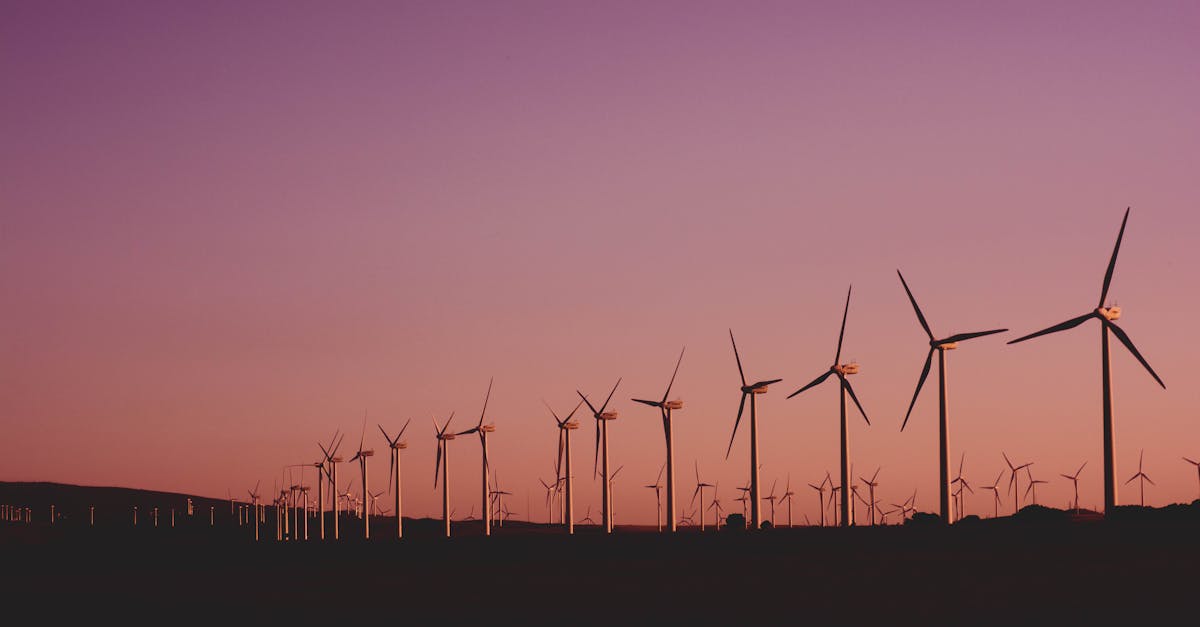 découvrez comment adopter un mode de vie durable grâce à nos conseils et solutions écologiques pour préserver l'environnement tout en améliorant votre quotidien.