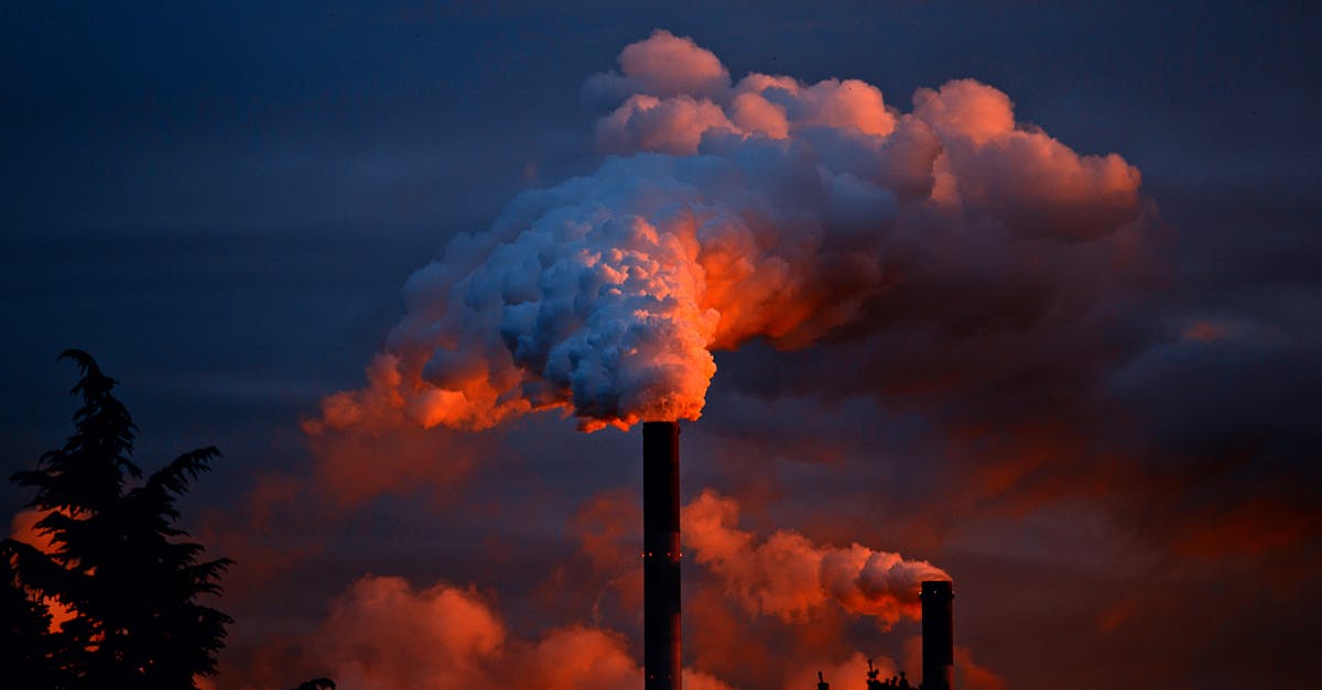 découvrez comment réduire votre empreinte carbone avec des astuces pratiques et des conseils sur le développement durable. apprenez l'importance de limiter votre impact environnemental et contribuez à un avenir plus vert.