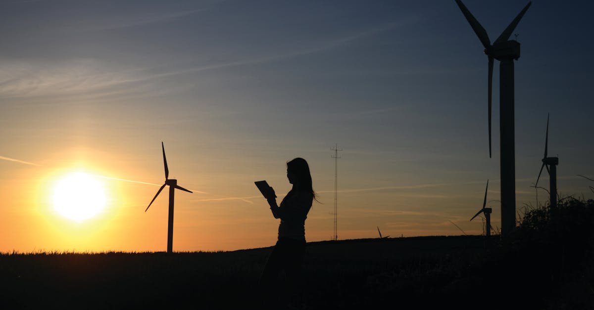 découvrez les principes de la sustainability : conseils, enjeux et solutions pour adopter un mode de vie plus respectueux de l'environnement et préserver nos ressources naturelles.