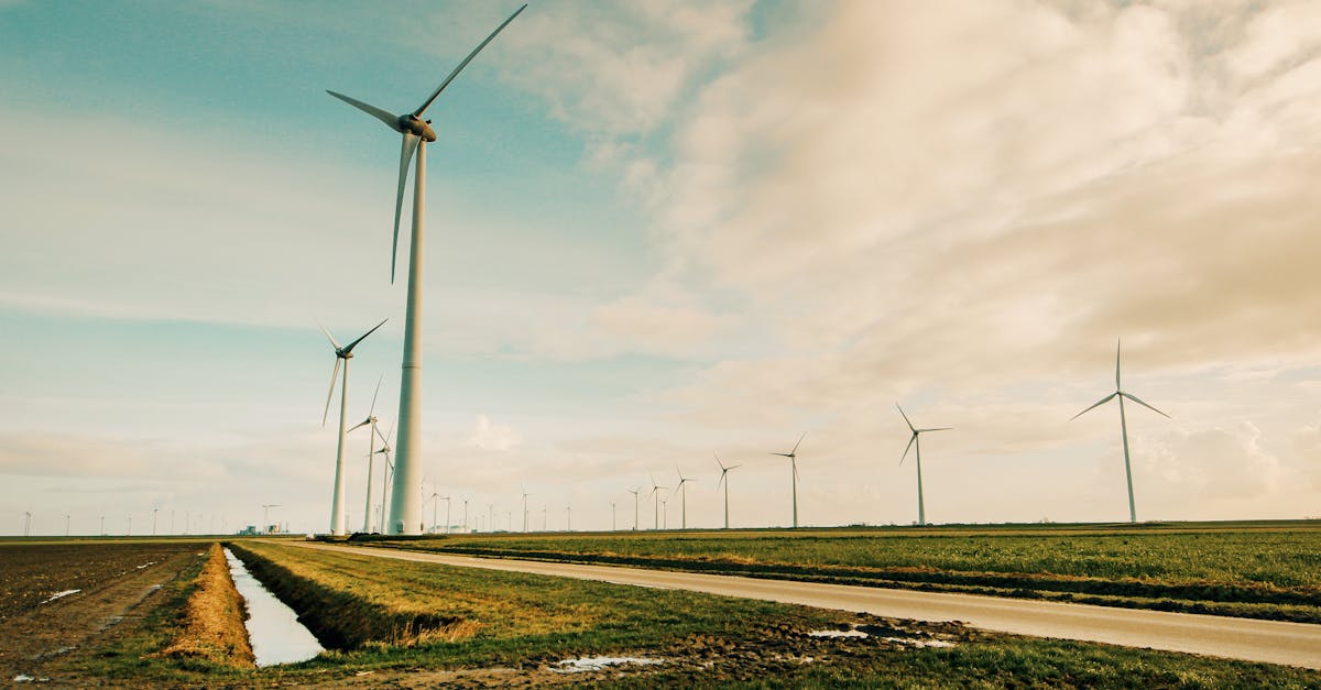 découvrez comment adopter une approche durable au quotidien pour préserver l’environnement, réduire votre impact écologique et contribuer à un avenir plus responsable. conseils, actualités et solutions pour vivre de manière plus éthique et respectueuse de la planète.