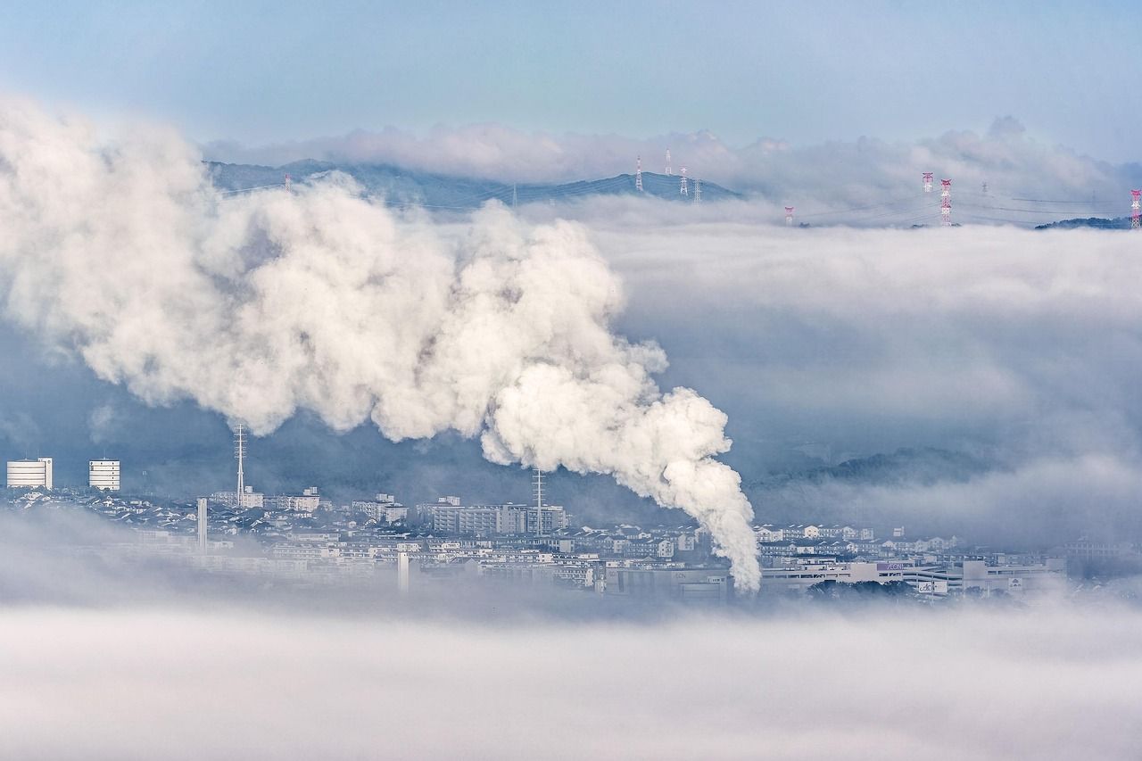 découvrez des stratégies efficaces pour réduire votre empreinte carbone et contribuer à la protection de l'environnement.