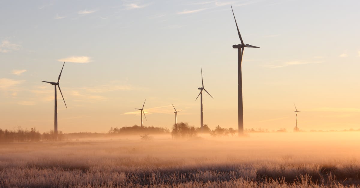 découvrez les technologies durables : innovations éco-responsables, solutions pour préserver l'environnement et favoriser un développement plus respectueux de la planète.