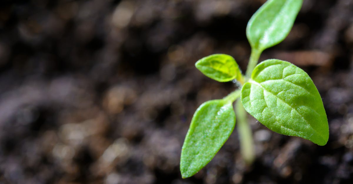 découvrez comment intégrer la durabilité dans vos pratiques quotidiennes pour préserver l’environnement et améliorer la qualité de vie des générations futures.