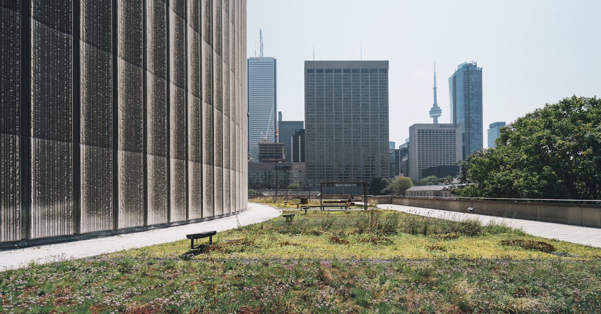 découvrez comment adopter des pratiques de sustainability pour préserver l’environnement, favoriser l’économie circulaire et bâtir un futur durable pour les générations à venir.