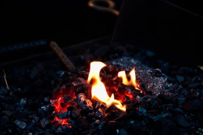 Marché Carbone : Comprendre ce Mécanisme Clé de la Lutte Climatique