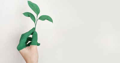 Produits à faible empreinte : des choix durables pour un futur responsable