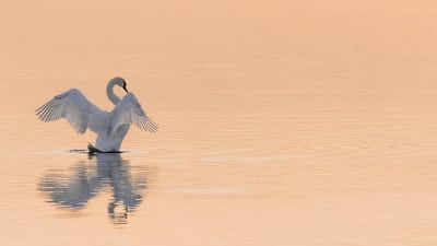 Économie d’eau dans la salle de bain : astuces simples pour réduire sa consommation au quotidien